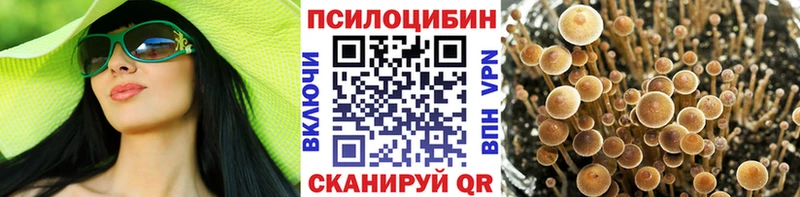 гидра вход  Черкесск  Галлюциногенные грибы Psilocybine cubensis 